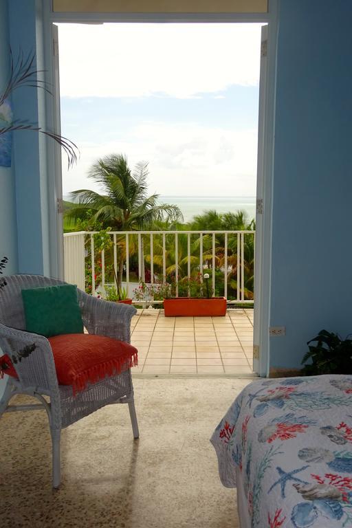 A Seascape Guest Room Fajardo Zewnętrze zdjęcie